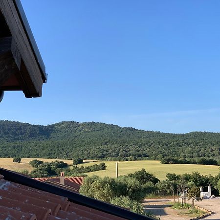 Il Poggio Di Musignano Βίλα Musignano  Εξωτερικό φωτογραφία