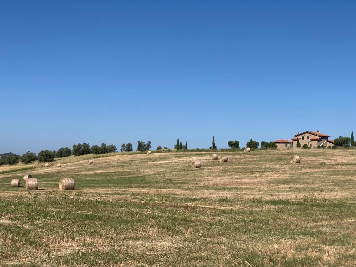Il Poggio Di Musignano Βίλα Musignano  Εξωτερικό φωτογραφία