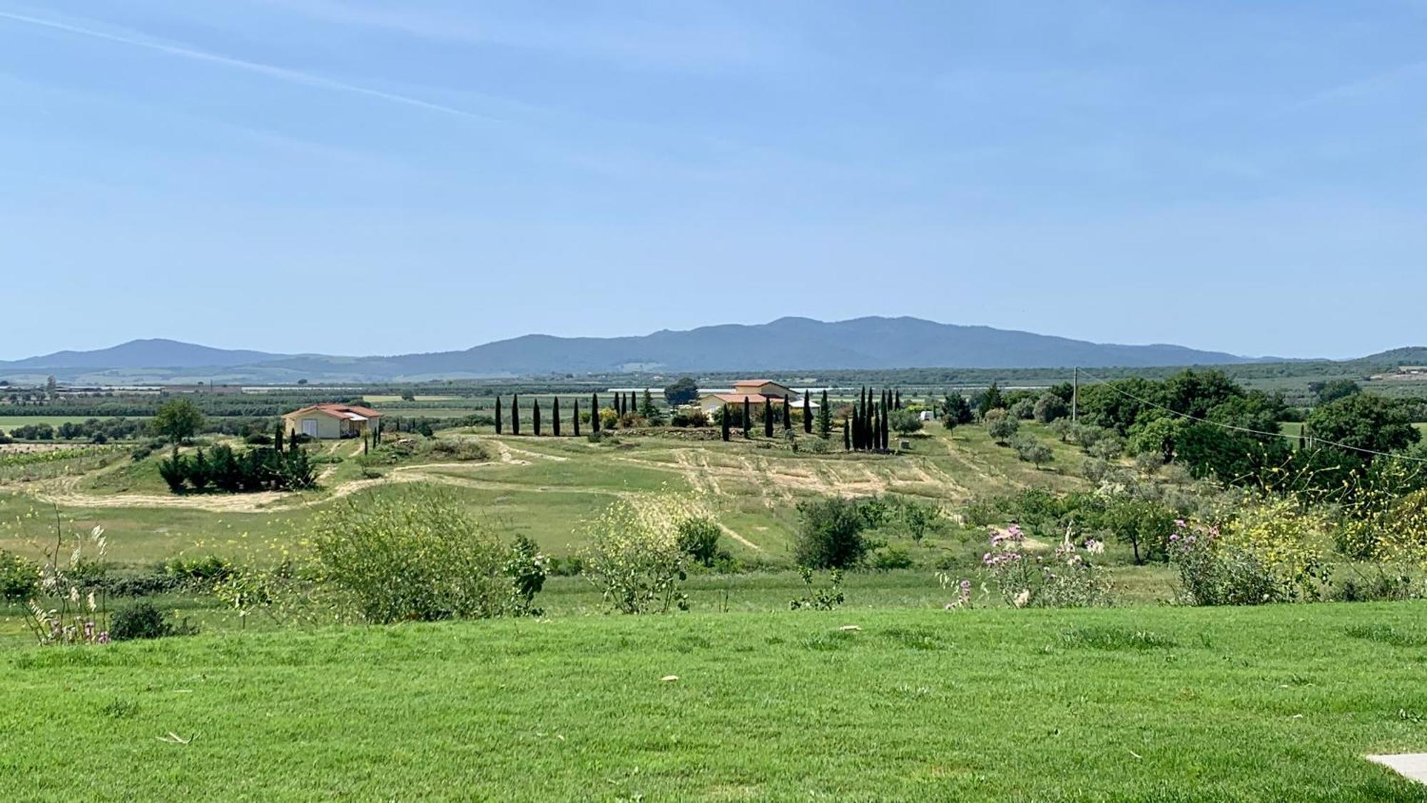 Il Poggio Di Musignano Βίλα Musignano  Εξωτερικό φωτογραφία