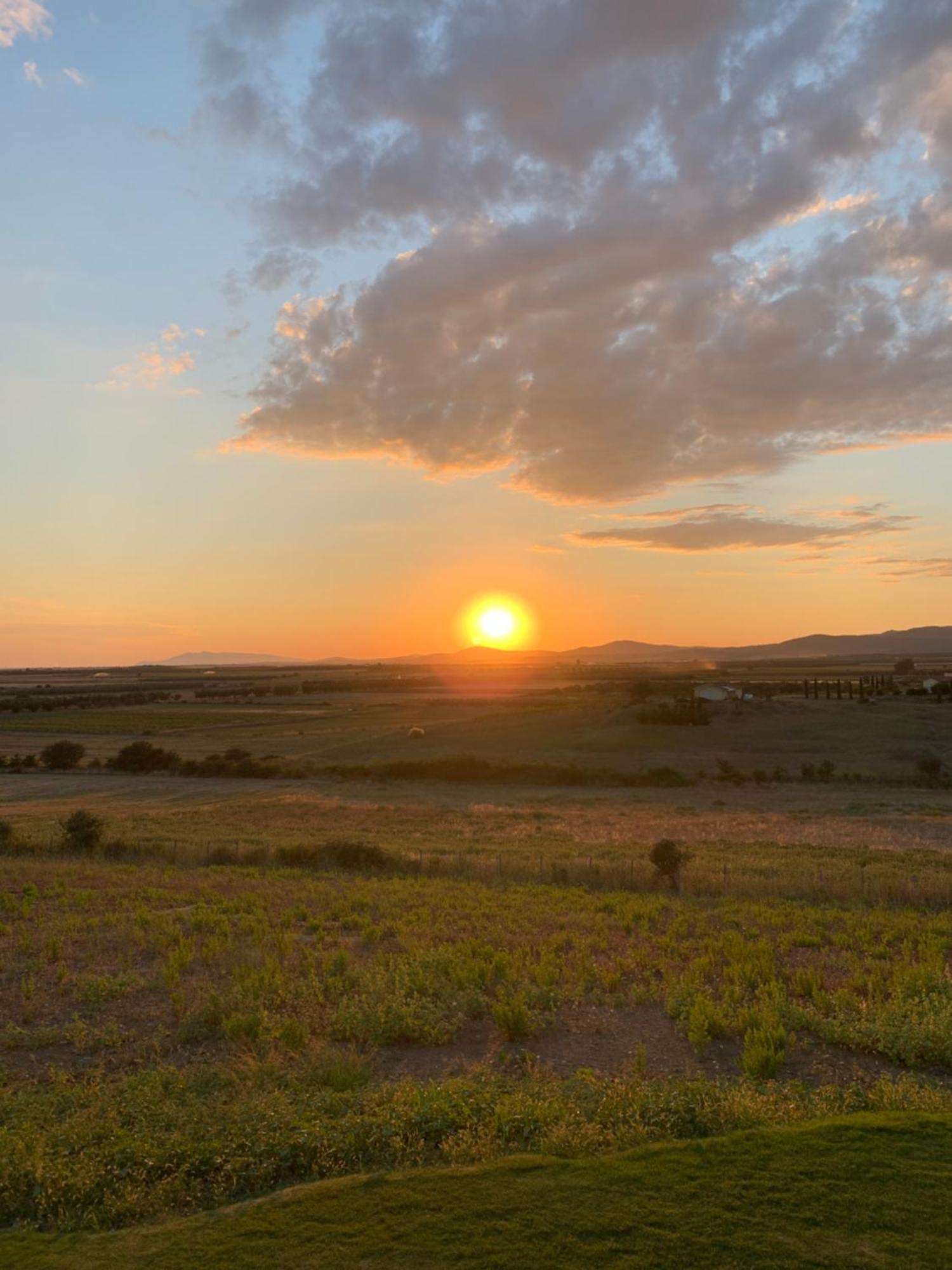 Il Poggio Di Musignano Βίλα Musignano  Εξωτερικό φωτογραφία