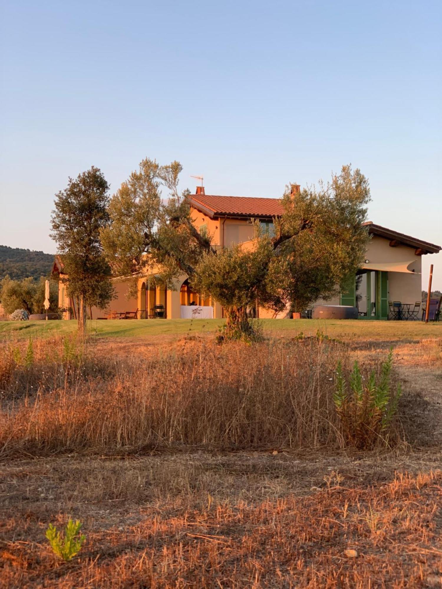 Il Poggio Di Musignano Βίλα Musignano  Εξωτερικό φωτογραφία